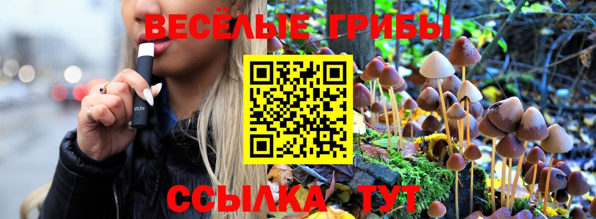 Урус-Мартан  где найти   Галлюциногенные грибы ЛСД  Вход с VPN  Галлюциногенные грибы GOLDEN TEACHER 